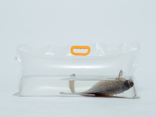 活魚(yú)充氧運(yùn)輸袋